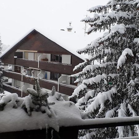 Apartment A'Horn Sankt Johann in Tirol Zewnętrze zdjęcie
